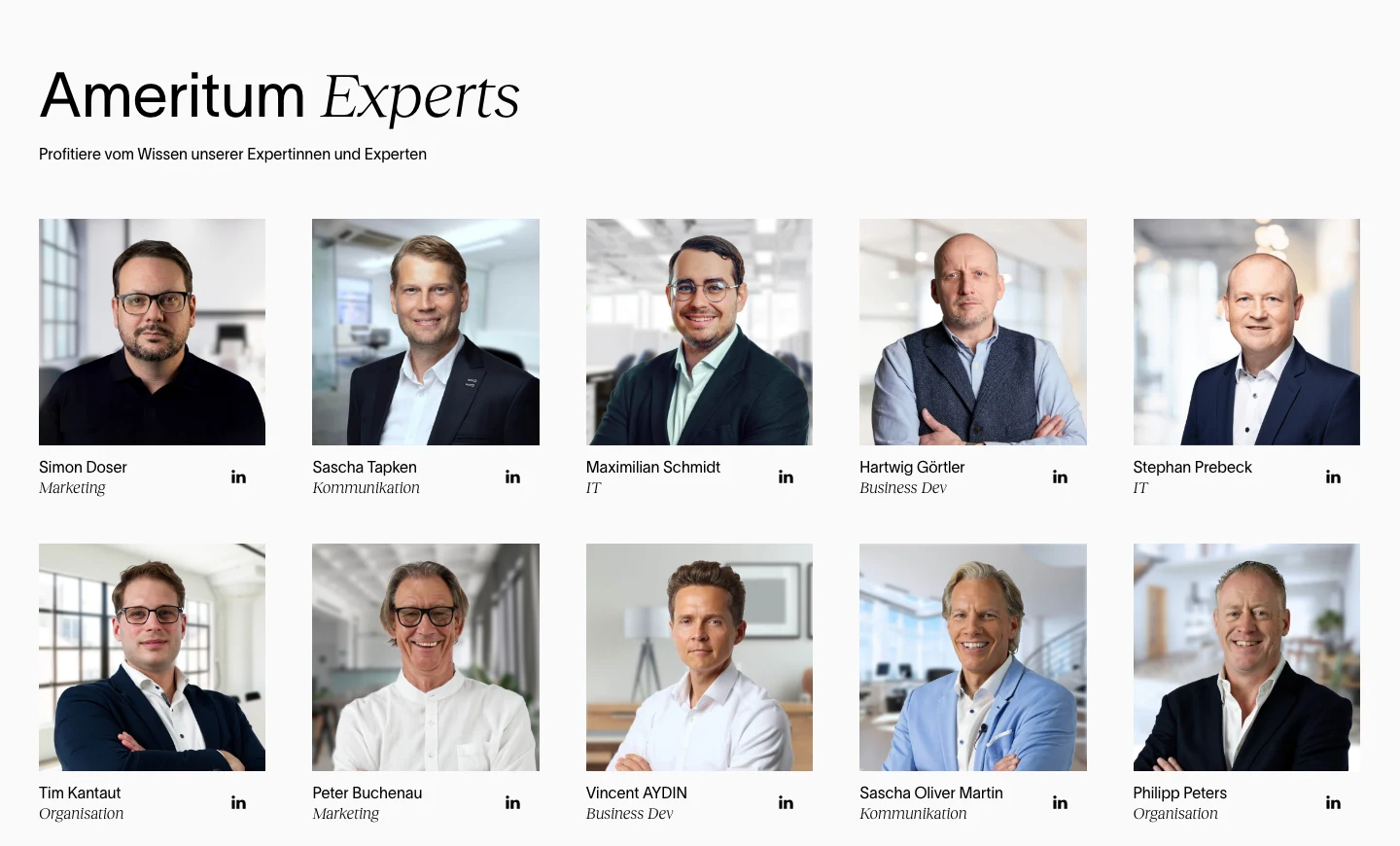 Experts section on ameritum.com with portraits and disciplines of ten Ameritum experts